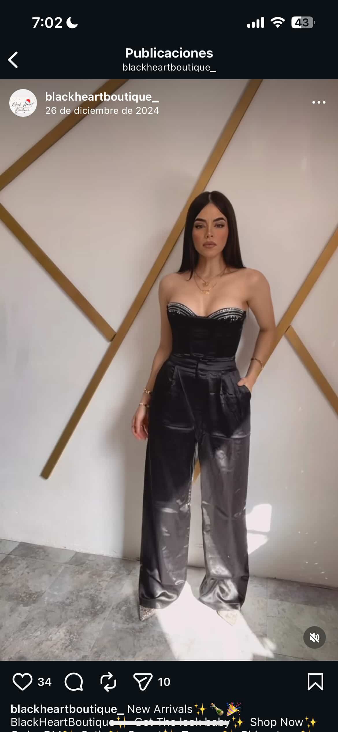 Satin Trousers